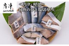 旬魚のひと塩切身 1枚80g∼90g 全13枚(ぶり90g×3切 さば90g×3切 真鯛80g×3切 さわら90g×2切 かんぱち90g×2切) おかず ギフト