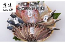 昭徳の天日干し 1枚60g~90g 全16枚(真あじ開き60g×6枚 真さば片身90g×3枚 かます開き80g×3枚 連子鯛開き180g×2枚 剣先いか開き70g×2枚) おかず ギフト