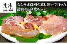 佐賀県産 放し飼いで育った親鶏の肉 (もも むね ささみ各2枚×4) 煮込み料理 たたき