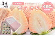白いちご 雪うさぎ 450ｇ入り化粧箱（佐賀県唐津市限定生産）苺 イチゴ 希少 果物 フルーツ
