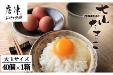 放し飼い！七山たまご 40個箱 (大玉) 玉子 生卵 鶏卵 佐賀県唐津産 