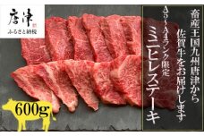 佐賀牛の女王希少部位『ヒレ』肉のミニヒレステーキ600g BBQや焼肉に最適！A5～A4等級 ギフト 牛肉 国産