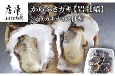 『先行予約』【令和7年6月から発送】唐津市唐房産 からふさカキ『岩牡蠣』3kg(カキナイフ付き) 貝 BBQ ギフト アウトドア