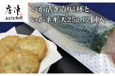 呼子のいか活造り1杯といかネギ天 25g×12個(合計300g) 刺身 練物 ギフト