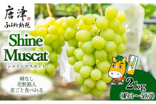 『先行予約』【7月下旬発送予定】甘みがギュッ!と詰まったシャインマスカット 2kg (約3～5房) 化粧箱 フルーツ 果物 ギフト