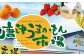 名前の通り唐津の「うまかもん(美味しいもの)」がギュッと詰まっているお店です。