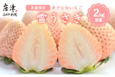  数量限定 白いちご 雪うさぎ 冷凍 2kg (佐賀県唐津市産)