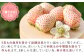 手間暇をかけて栽培！その分、皆さまに喜ばれる美味しい「雪うさぎ」が誕生しました。