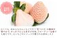 「雪うさぎ」香り豊かで、酸味が少なく、スッキリとした甘さが特徴です。