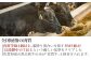 全国屈指の肉質をお届けします。
厳しい基準をクリアした黒毛和牛のみが「佐賀牛」と格付けされます。