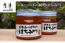 日本ミツバチの純粋はちみつ 240g×2個 (合計480g) 瓶 自然 蜜