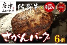 佐賀牛と佐賀県産和豚もち豚の無添加ハンバーグ「さがんバーグ」140g×6個入り 