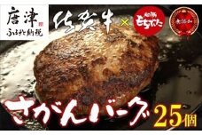 佐賀牛と佐賀県産和豚もち豚の無添加ハンバーグ「さがんバーグ」140g×25個入り 「2024年 令和6年」