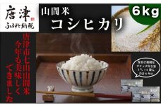 【令和6年産】山間米 コシヒカリ 1kg×6袋(合計6kg) 唐津 七山