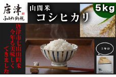【令和6年産】山間米 コシヒカリ 5kg 唐津 七山