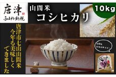 【令和6年産】山間米 コシヒカリ 10kg 唐津 七山