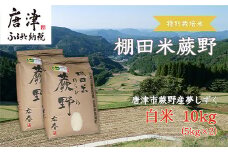 『先行予約』【令和7年産新米】特別栽培棚田米「蕨野」5kg×2袋(合計10kg)  家庭排水が一切入らない自然水で作られたお米 10日に1回精米で新米のような味わい