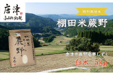 『先行予約』【令和7年産新米】特別栽培棚田米「蕨野」5kg×1袋(合計5kg) 家庭排水が一切入らない自然水で作られたお米 10日に1回精米で新米のような味わい