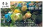 華やかなバラ、青、黄、オレンジ合計15本。 記念日、ギフトに。
お色のバランスはお任せください。 贈る方も贈られた方も笑顔に♪