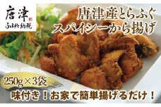 唐津産 とらふぐスパイシー唐揚げ250g×3袋(合計750ｇ )