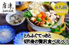 唐津産 とらふぐてっさと切り身の贅沢食べ比べ！6人前