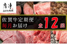 【定期便全12回】佐賀牛定期便「サーロイン(2回)・ローストビーフ(3回)・肩ロース・ハンバーグ(2回)・ロースブロック・カルビ(ロース)・カルビ(モモ)・しゃぶしゃぶ(ウデ)」 毎月発送いたします!