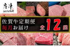 【定期便全12回】佐賀牛定期便「ロースブロック・ヒレステーキ(3回)・ローストビーフ(3回)・すき焼き用(ロース）・しゃぶしゃぶ用(ロース)・カルビ焼肉(ロース)・サーロイン・赤身ももブロック」 毎月発送いたします!