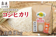 『先行予約』【令和6年産】唐津産特別栽培米 コシヒカリ(白米) 4.5㎏×2袋(合計9kg) ご飯 コメ お米
