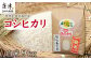 唐津産のコシヒカリは『特別栽培米』！コシヒカリ9kg、ギフト・贈りものに最適。