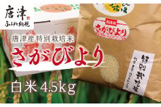 『先行予約』【令和6年産】唐津産特別栽培米 さがびより(白米) 4.5kg 白米 ご飯 こめ お米 おにぎり