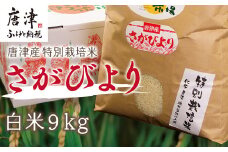『先行予約』【令和6年産】唐津産特別栽培米 さがびより(白米) 9kg コメ お米 ごはん 白米 ご飯 こめ お米 おにぎり