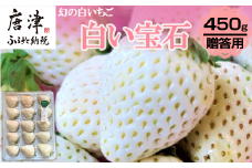 『先行予約』【令和8年2月上旬から4月下旬までにお届け】白い宝石 白いちご 450g 贈答用 いちご イチゴ 苺 フルーツ 果物 希少