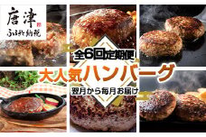 「全6回定期便」唐津大人気ハンバーグ定期便 黒毛和牛 手ごね 佐賀牛 食べ比べ