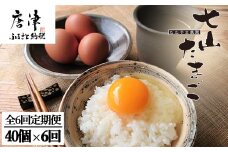 「全6回定期便」放し飼い！七山のたまご MLサイズ相当 (40個×6回) 合計240個 冷蔵 卵 玉子 平飼い 佐賀県唐津産 「2022年 令和4年」