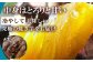 冷凍することにより更に甘さを引き出しています。
食感は表面の皮はビターで中身はとろりと甘く皮ごと一緒に
お召し上がり下さい♪