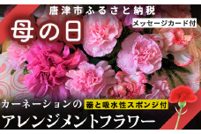 母の日 カーネーションのアレンジメントフラワー(メッセージカード付き) 花 お祝い プレゼント