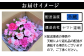 丁寧に梱包し、受けとった方にお花の知識がなくても困らないよう
お手入れ方法の説明書も同封しております。