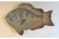 魚釣りが好きな方々にも好評を頂き飾りとしてもご使用できます。