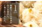 新鮮なイカをつかい丁寧に一つずつ手作りしています。