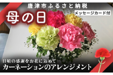 母の日ギフト お母さんありがとう！カーネーションのアレンジメント お祝い 記念日 フラワーギフト「母の日」Hahanohi