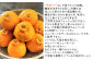 果皮も丸ごと美味しく食べることができる味香みかん。
β-クリプトキサンチン が豊富に含まれ成人病の予防にも効果あり。
