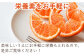 栄養も手軽にとれる美味しいみかん。ギフト、贈り物にも最適。