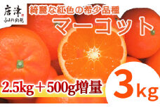 『先行予約』【令和8年2月中旬発送】マーコット(ハウス栽培) 唐津産 3kg みかん ミカン 果物 フルーツ