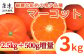 希少! 予約受付!
糖度が高い希少品種 マーコット。
500ｇ増量の3㎏お届けいたします。