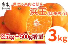『先行予約』【令和8年1月下旬発送】浜王(はまおう) ハウス栽培 唐津産 3kg 口之津(くちのつ) 39号みかん フルーツ 果物 柑橘 かんきつ