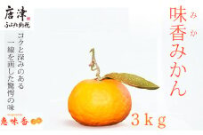 『先行予約』【令和8年2月上旬発送】果皮も丸ごとガブッ！味香みかん 3kg 新種のミカン フルーツ 果物 デザート 柑橘