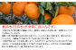 日持ちがよく、普通ミカン品種に比べ、２倍以上の長い期間を
フレッシュとして食べて頂くことができます。