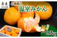 化粧箱入り ギフト 贈り物に
唐津の温室みかんLサイズ 2.2kg お届けいたします。