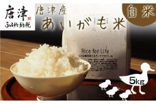 『先行予約』【令和7年産】唐津産 あいがも米 5kg (白米) 一粒田 合鴨農法 無農薬 無化学肥料 コメ お米 ごはん
