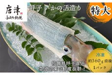 呼子のいか活造り1杯(360g前後) 特大サイズ コリコリ甘い鮮度抜群の透明感! 刺身 ギフト 冷凍